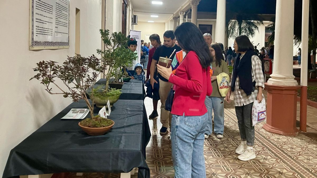 Exitosa inauguración de “La Expo Bonsái y Cultura Japonesa” en Posadas 1 2 - Exitosa inauguracion de La Expo Bonsai y Cultura Japonesa en Posadas 5 - 1