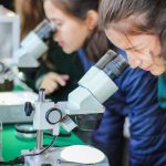 Comenzó la Feria del Libro en Posadas con más de 100 propuestas 1 2 - IMG 20250529 WA0061 - 1