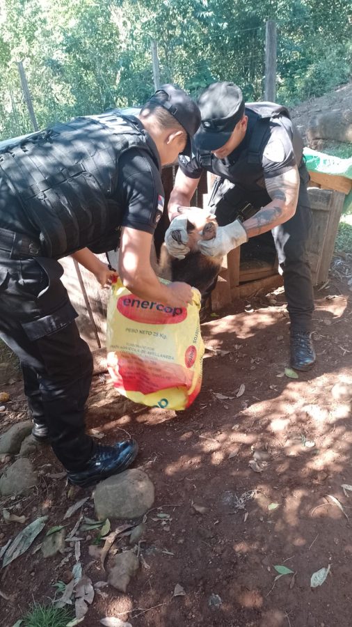 La Policia de Misiones fortalece operativos rurales para la seguridad de colonos 4 - 7