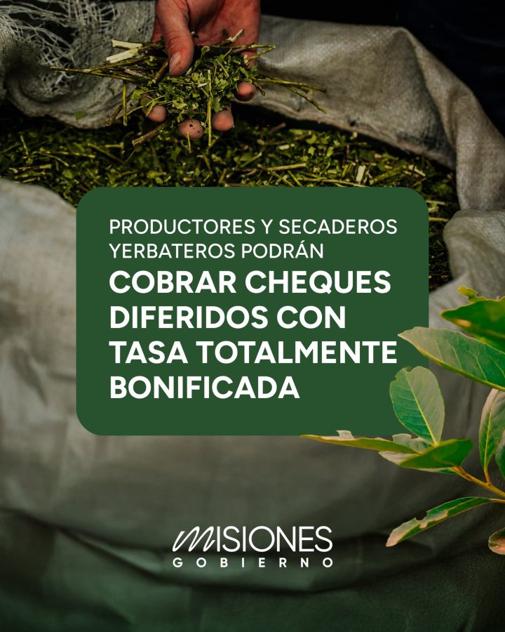Productores y secaderos podrán cobrar cheques sin intereses 1 2 - OPERATORIA SECTOR YERBATERO 2 - 1