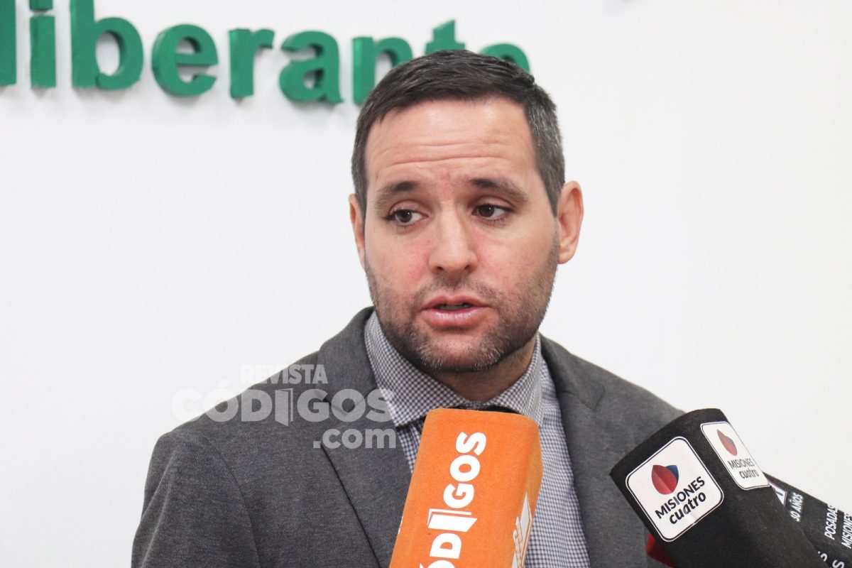 Remises en Posadas tendran el mismo regimen que los servicios por plataformas digitales - 1