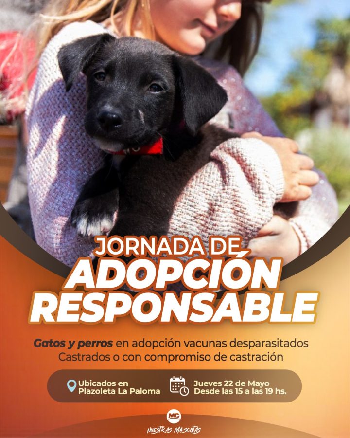 WhatsApp Image 2025 05 15 at 08.14.59 - 1