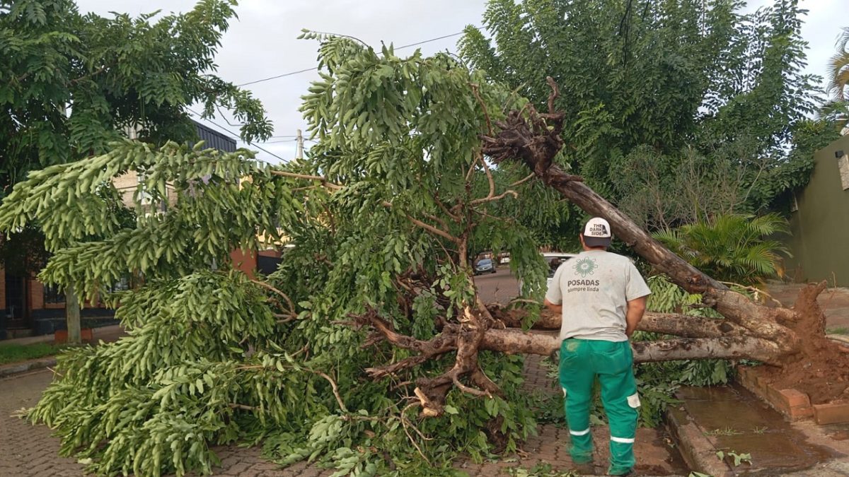 La Municipalidad de Posadas atendió unos 273 incidentes tras el último temporal