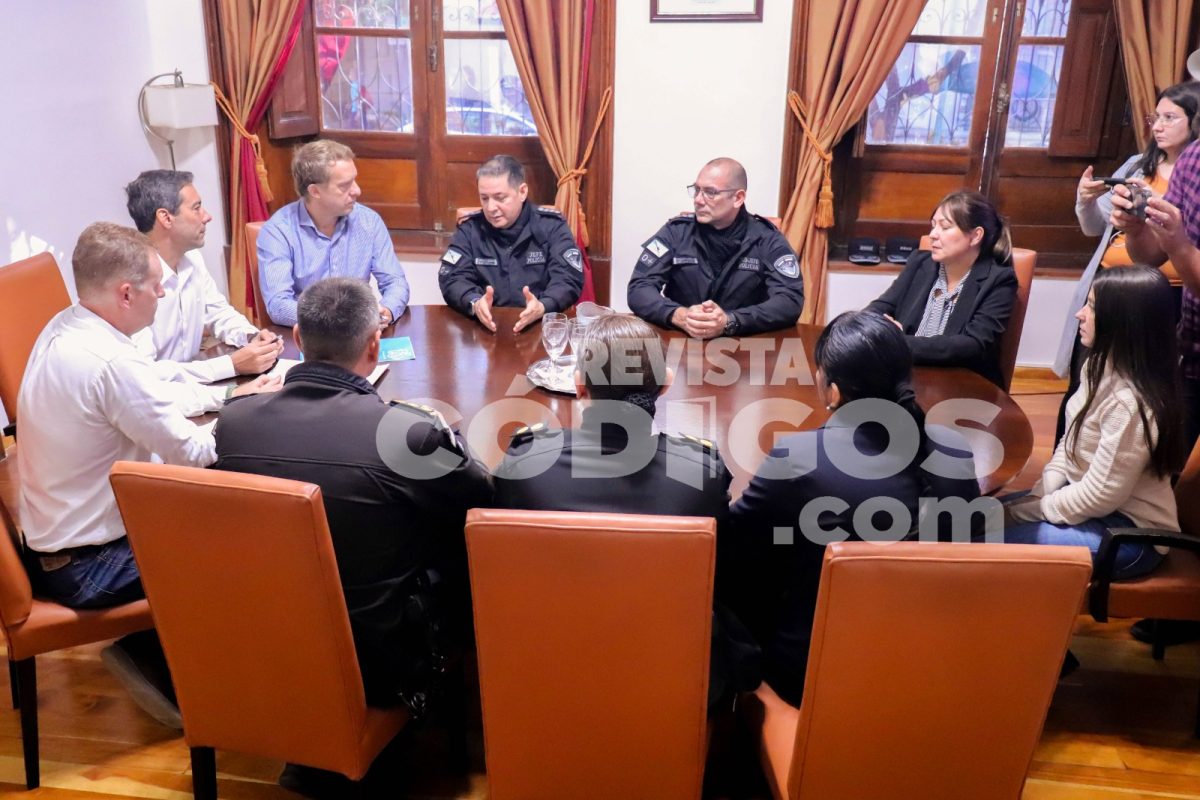 benmaor policia de misiones ips 4 - 3