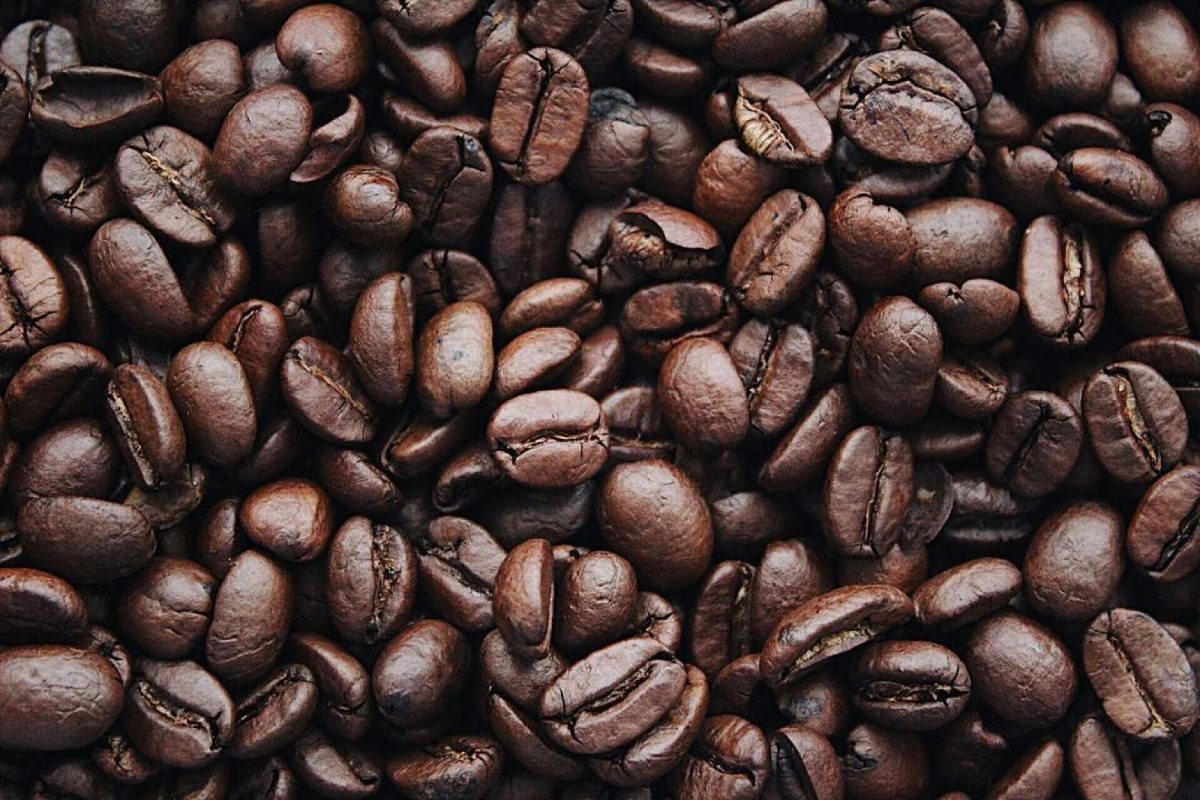Diputado del Frente Renovador impulsa la reconversión productiva con plantaciones de café en Misiones