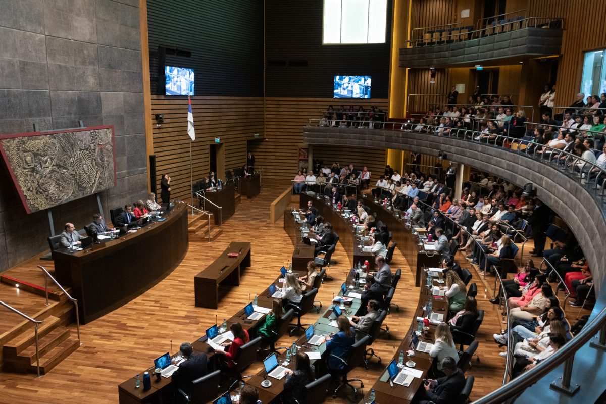 camara de representantes (2)