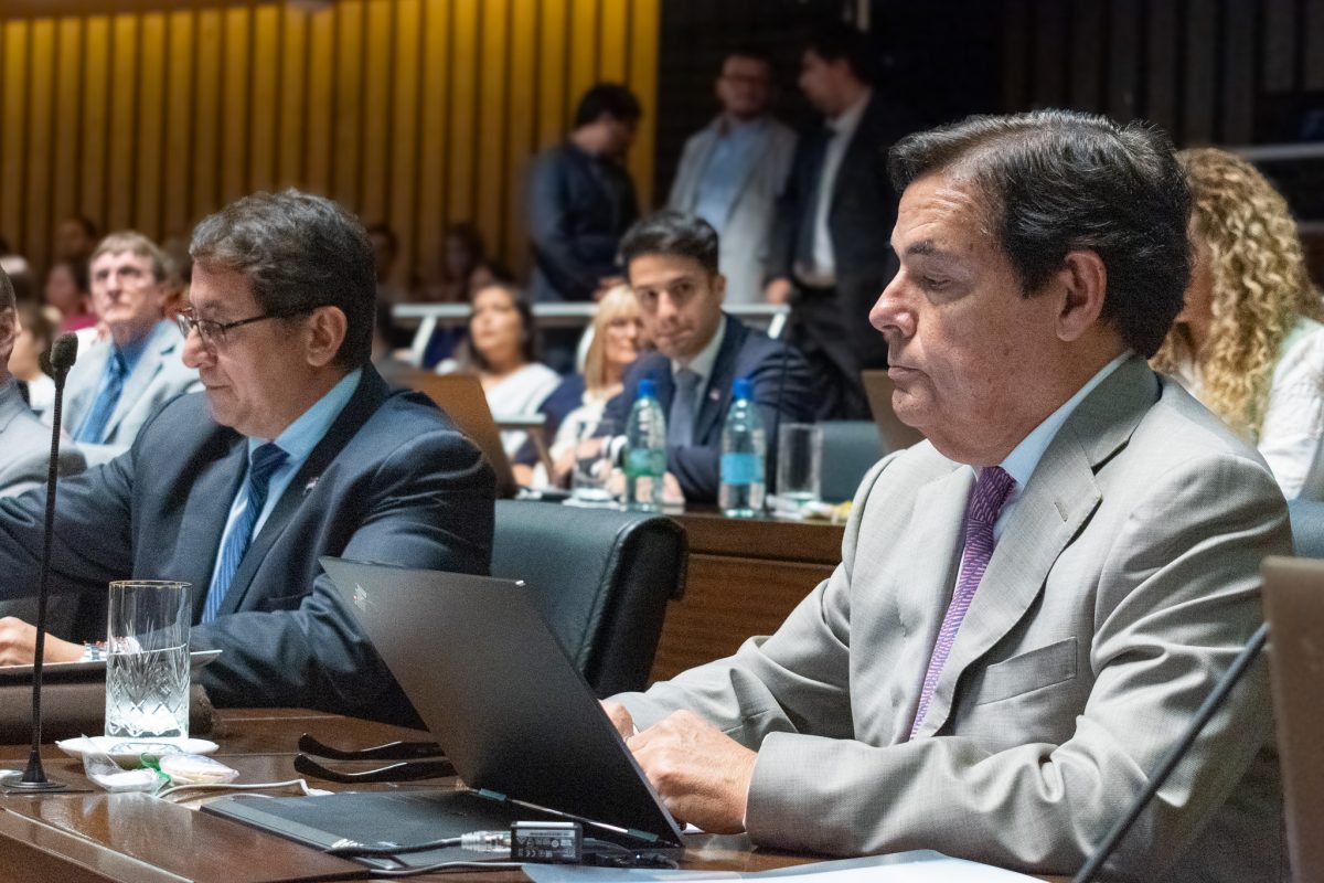 Por ley, Misiones integrará la inteligencia artificial a la educación 1 2 - camara de representantes 4 - 1