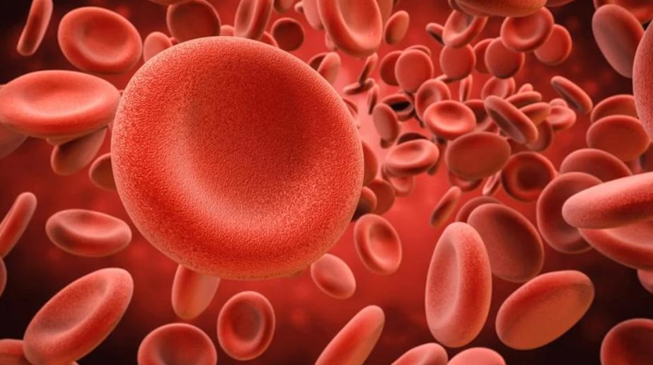 cancer sangre