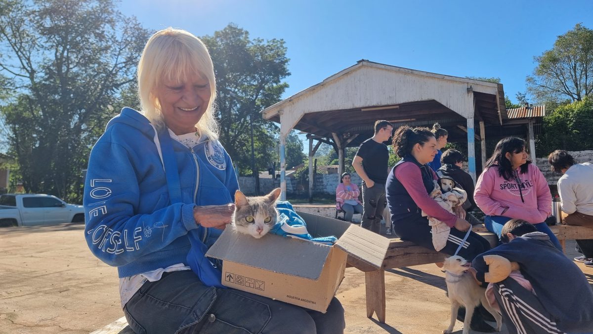 Montecarlo fortalece la salud animal con castraciones, vacunación y adopciones responsables