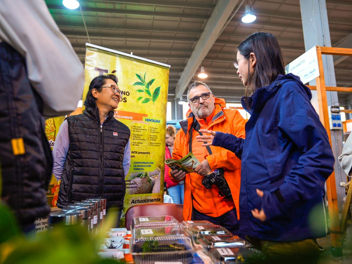 expo te 4 - 5