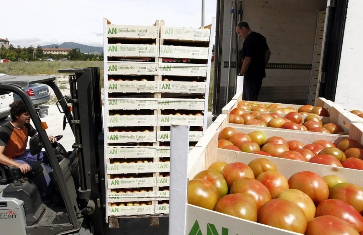 importacion de alimentos