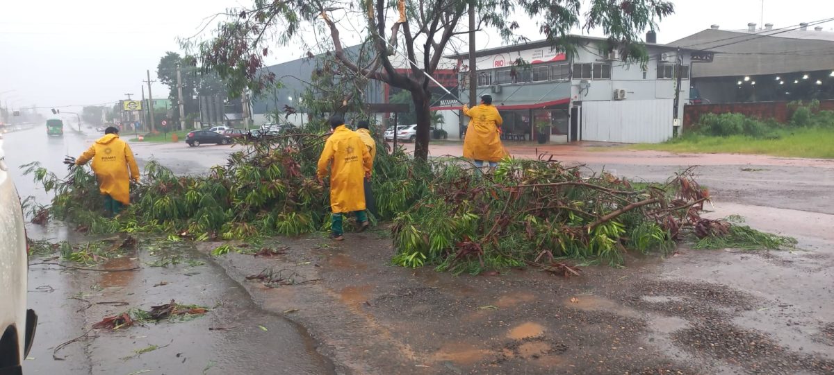 Temporal en Posadas: el municipio realiza operativo integral de asistencia 1 2 - operativo 1 - 1