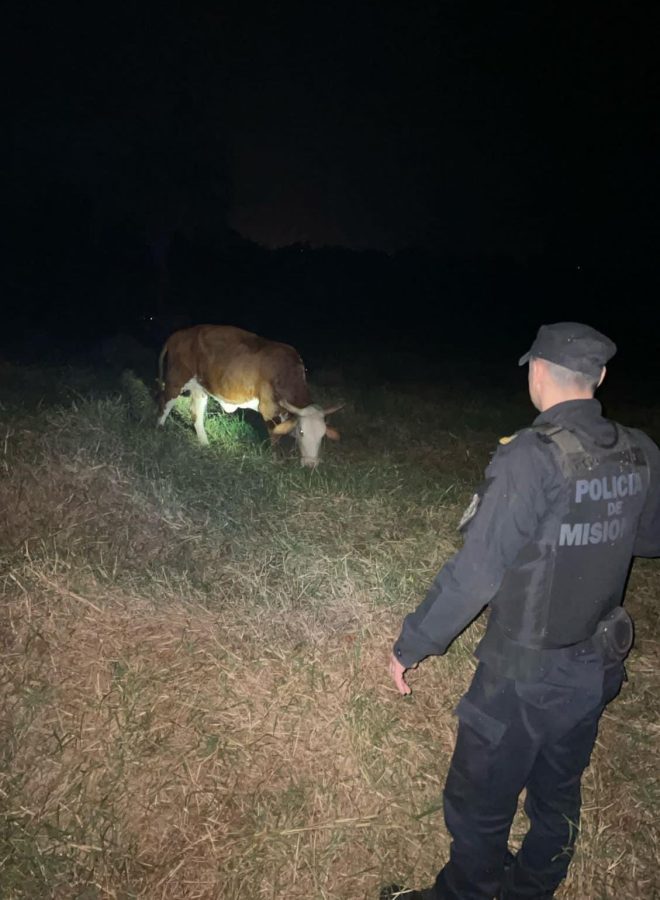 operativos polis 10 - 3