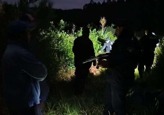 Hallaron restos óseos humanos en San Vicente