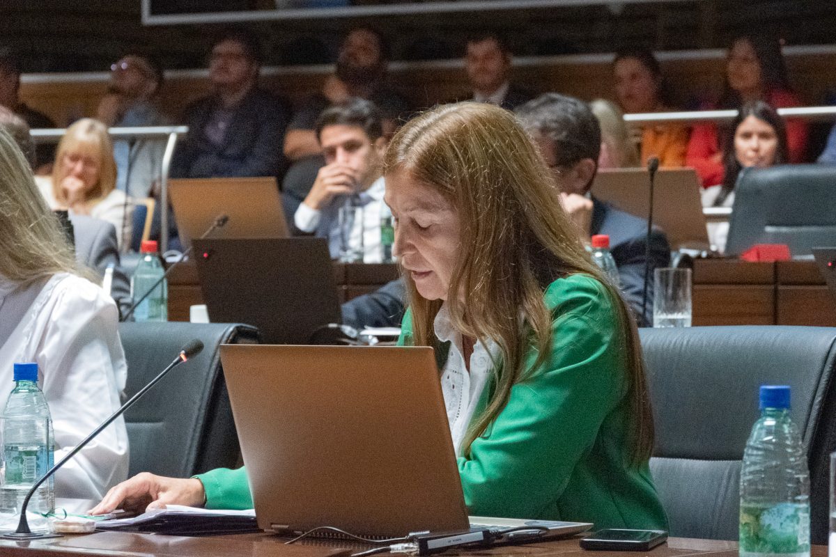 Misiones instituyó el Día Provincial de la Eficiencia Energética: se celebrará cada 5 de marzo 1 1 - sawicz