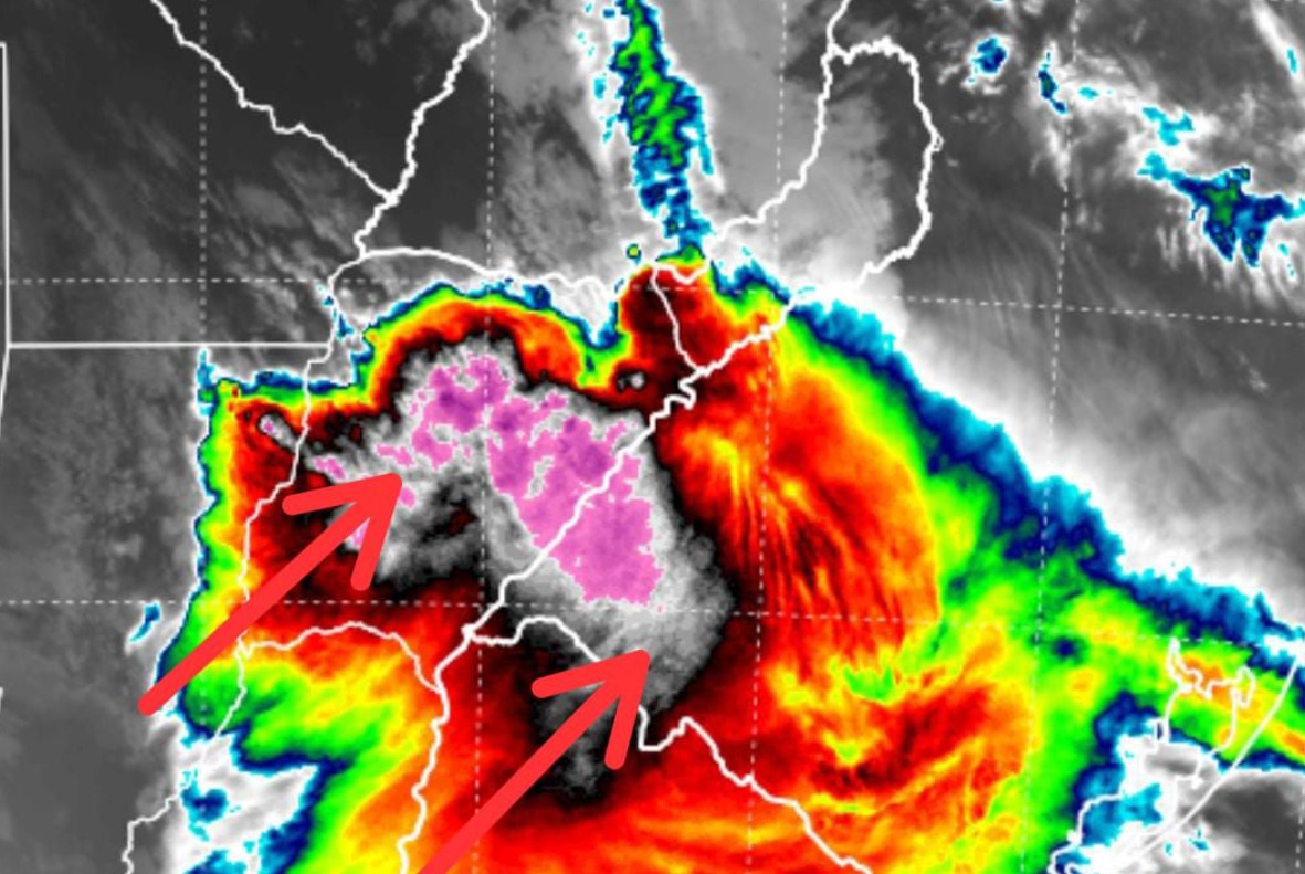tormentss