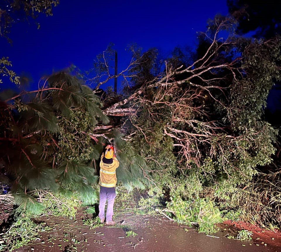 Activaron operativos de emergencia por accidentes y caída de árboles tras temporal en Misiones