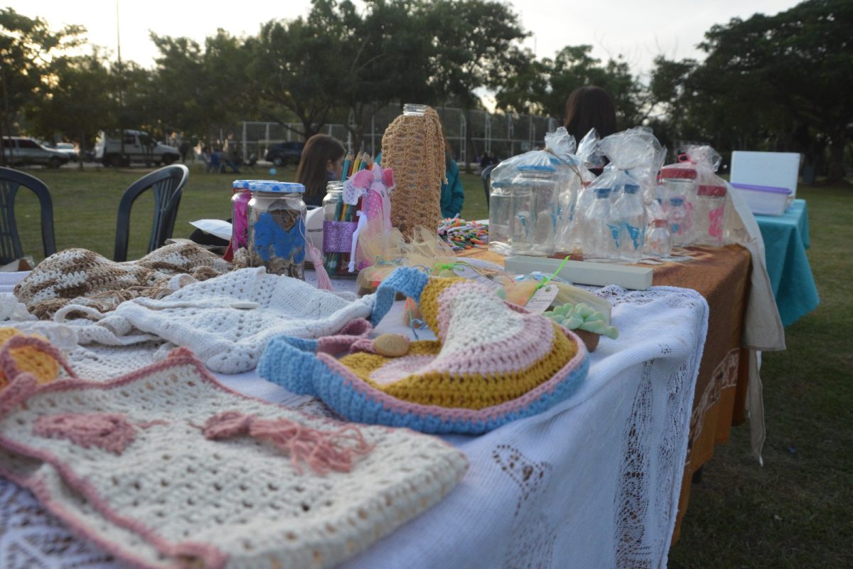 Destacan el exito de la Feria Inclusiva del Parque de la Ciudad 2 - 5