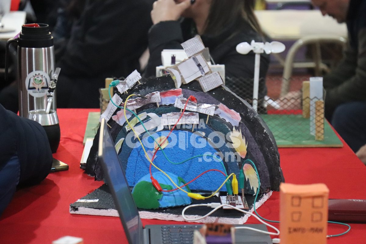 El modelo educativo misionerista se caracteriza por la innovacion dijo Bogado 11 - 9