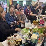 Festival Das Cataratas 2025 1 - 9