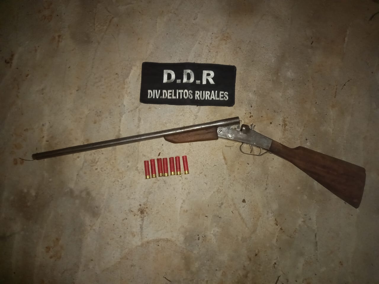 Frustran caza furtiva secuestran un aguti y una escopeta en el Parque Provincial Urugua i 1 - 5