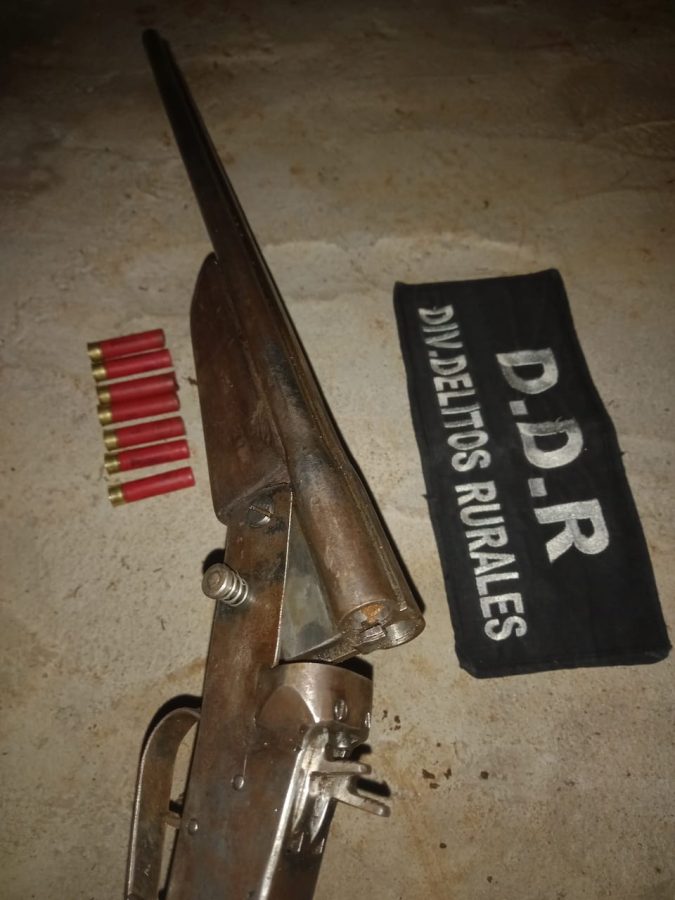 Frustran caza furtiva secuestran un aguti y una escopeta en el Parque Provincial Urugua i 4 - 3