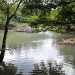 IMG 20250613 WA0076 - 13