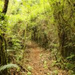 IMG 20250613 WA0077 - 9