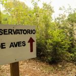 IMG 20250613 WA0078 - 11