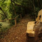 IMG 20250613 WA0079 - 7