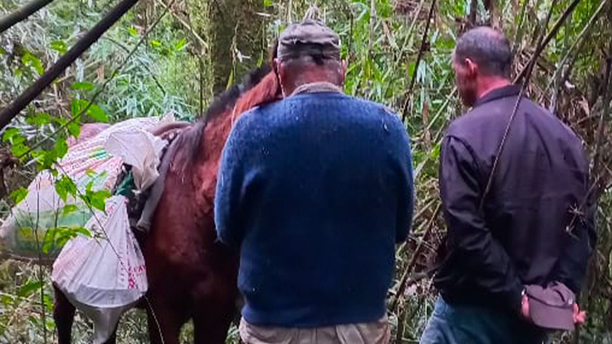 Interceptan y detienen a cazadores furtivos dentro del Parque Provincial Urugua i 2 - 3