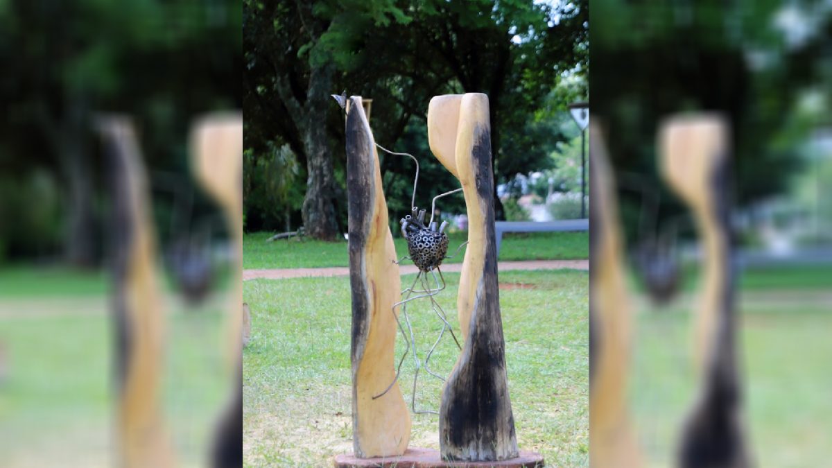 La exitosa Bienal Cainguás llega a Posadas