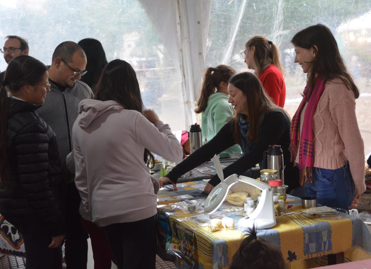Mas de 5000 personas ya disfrutaron de la Feria del Libro de Posadas 4 - 9