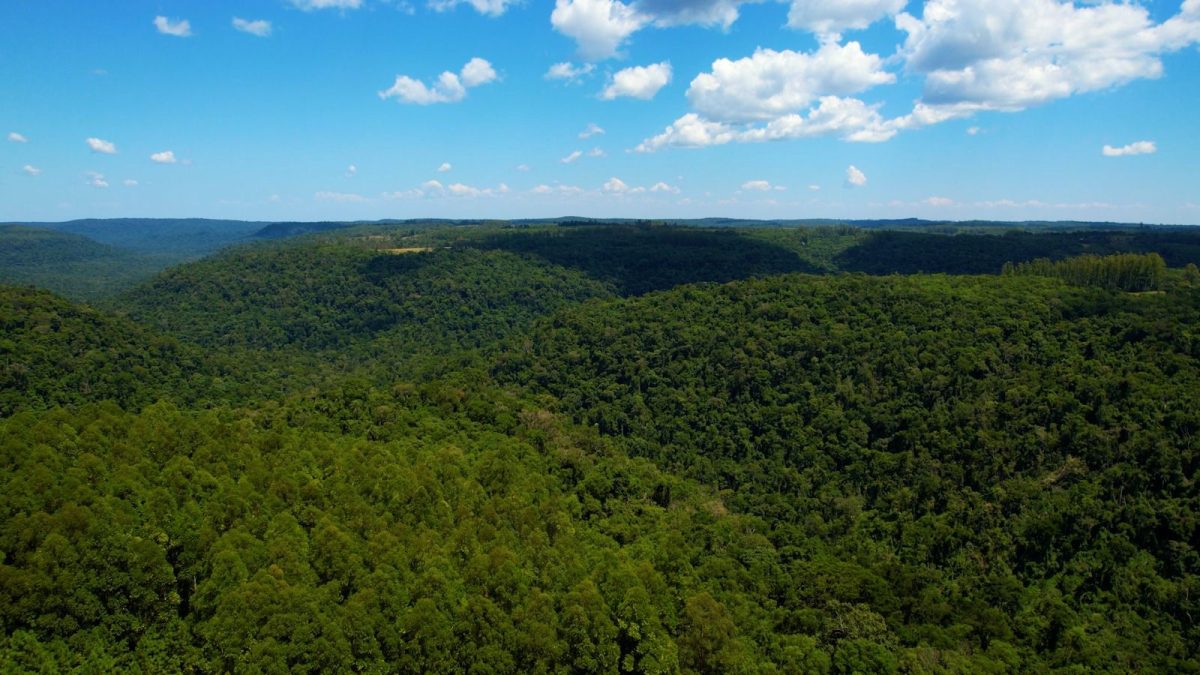 Misiones areas protegidas (1)