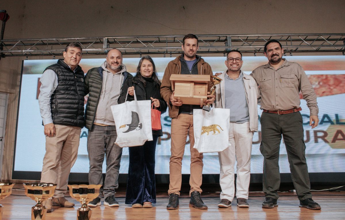 Misiones celebro la 3a Fiesta Provincial de la Meliponicultura con premios y saberes rurales 3 - 1