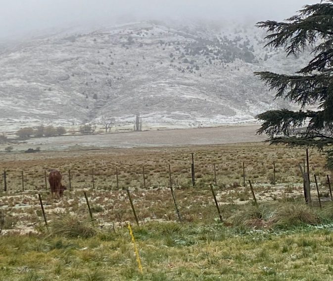 Nieve en Buenos Aires: advierten por la llegada de frío polar