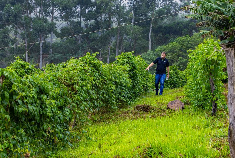 Rovira presentó un proyecto para diversificar la producción rural 1 2 - PRODUCCION - 1