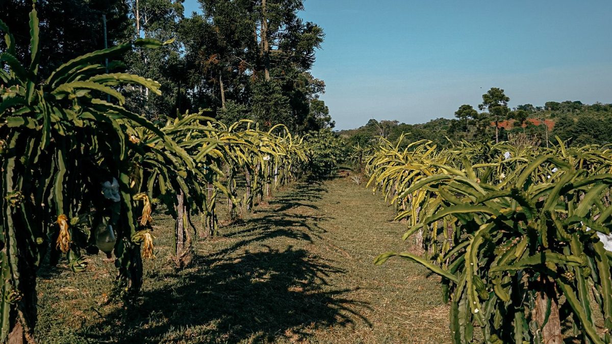 Rovira presentó un proyecto para diversificar la producción rural 2 3 - PRODUCCION2