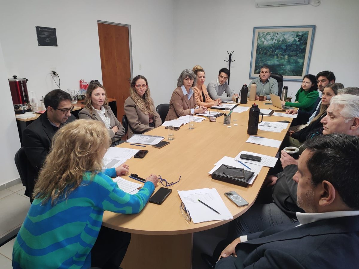 Rosanna Venchiarutti reelecta presidenta del Consejo de la Magistratura de Misiones 4 - 1