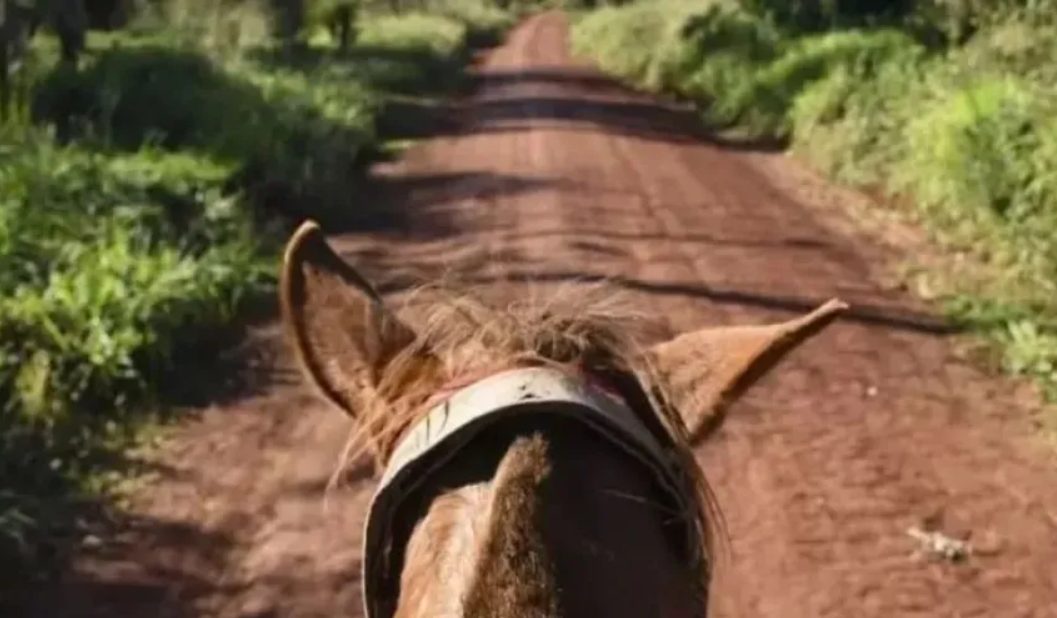 Se suspende la Cabalgata Belgraniana Misionera