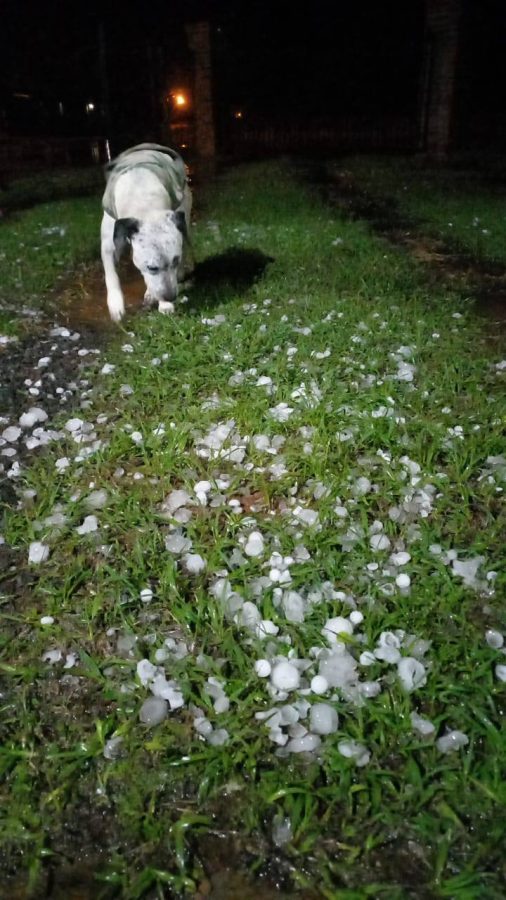 Temporal con caida de granizo afecto a varias localidades del norte de Misiones 3 - 9