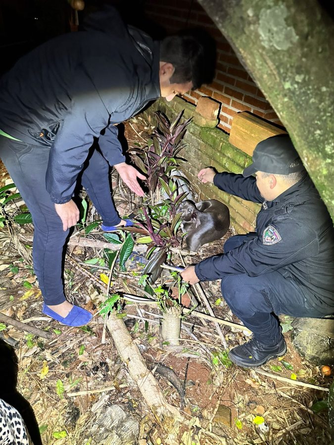 WhatsApp Image 2025 06 22 at 20.33.23 - 1