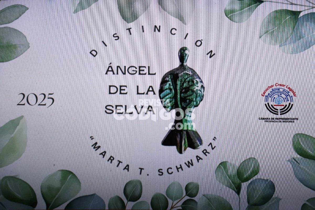 La Legislatura provincial realizó una nueva entrega de la distinción “El Ángel de la Selva” 2 4 - WhatsApp Image 2025 06 27 at 18.30.58 1 - 3