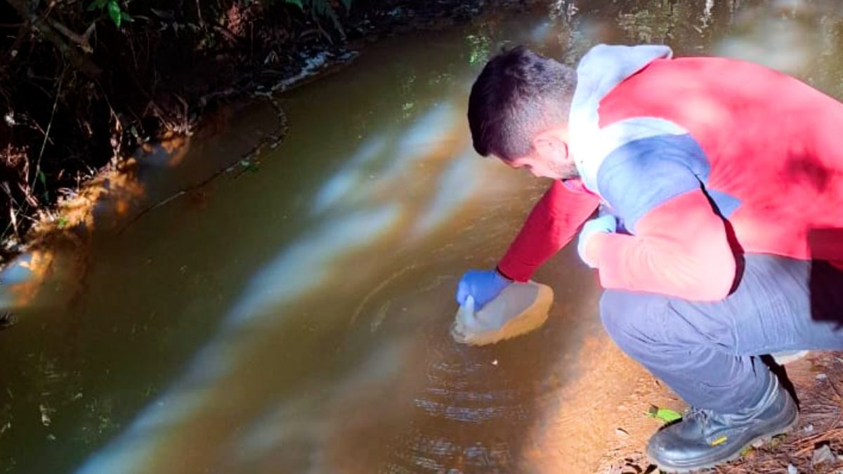 Ecología realizó un relevamiento de la calidad del agua en el arroyo Las Delicias de Jardín América