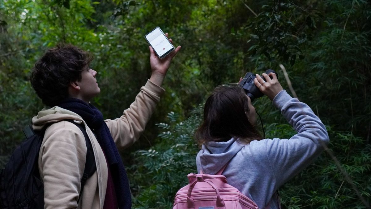 Cultura, cine y naturaleza en Colonia Alberdi 3 6 - alberdi 3 - 5