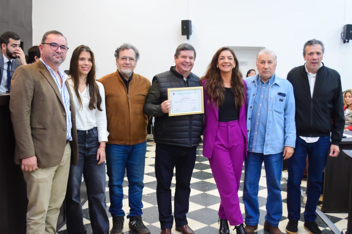 Concejales posadeños aprobaron la creación del programa "Murales Artísticos de Vanguardia" 3 6 - concejo 3 - 5