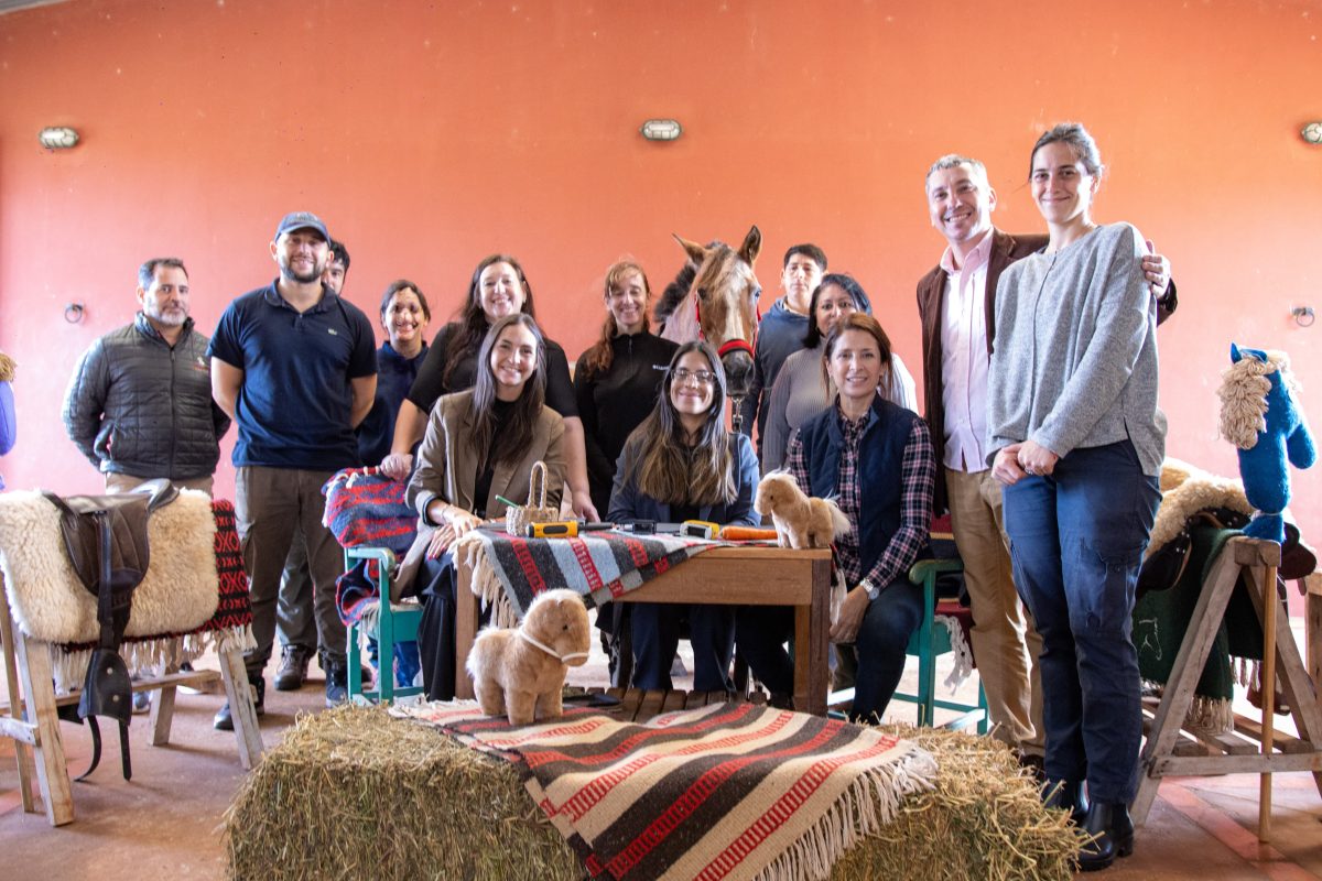 desarrollo social (1)