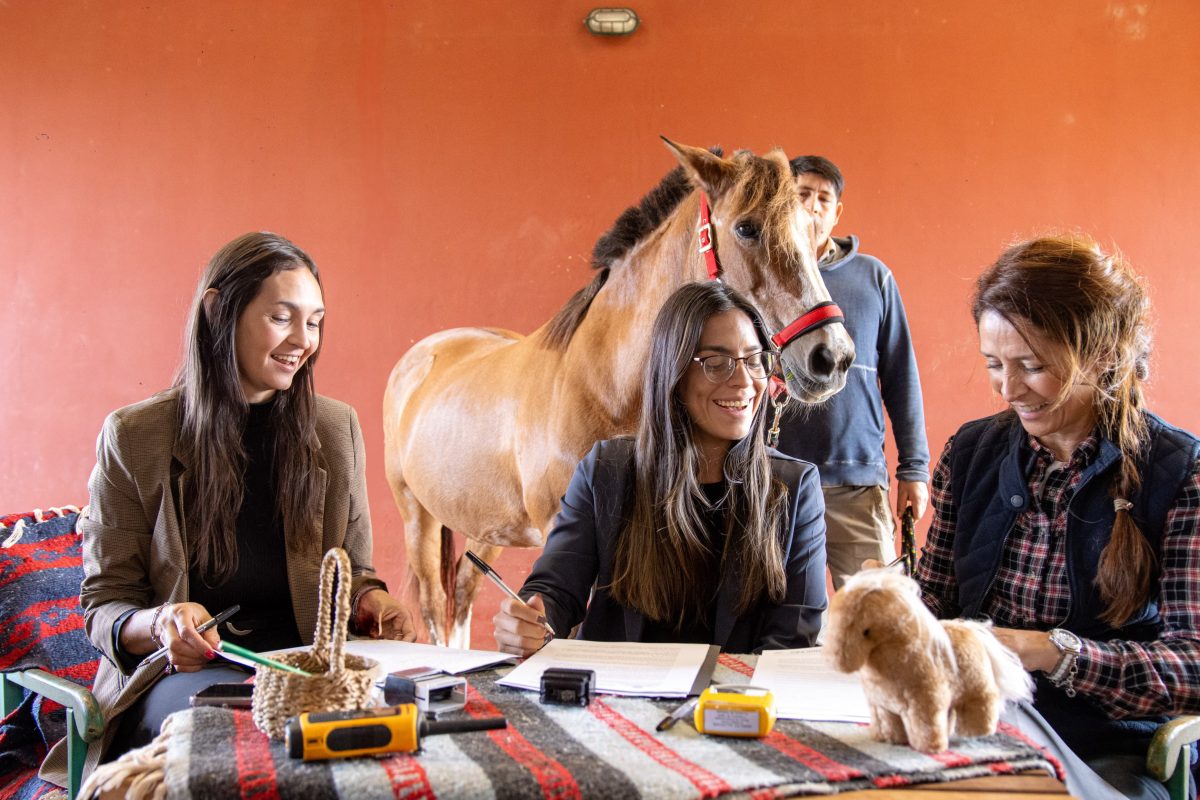 desarrollo social 2 - 1