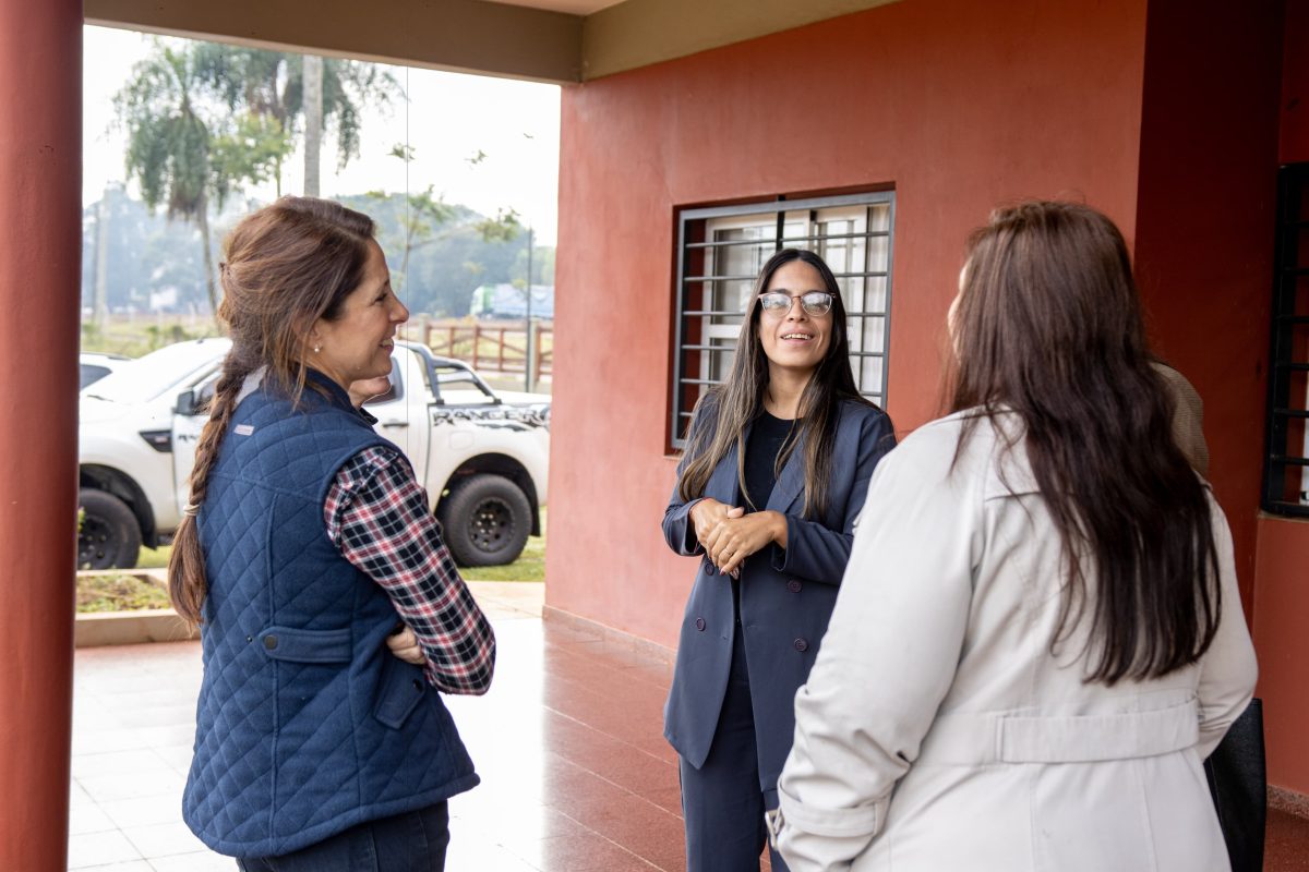 desarrollo social 3 - 3