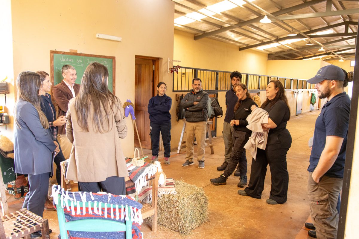 desarrollo social 4 - 5